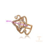 نمای نزدیک انگشتر ژوپینگ کد A00713612