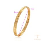 جزییات و نمای نزدیک النگو ژوپینگ طول 65(±2)mm وزن 17 گرم کد X001007264