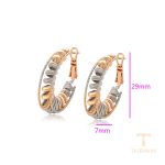 نمای نزدیک گوشواره ژوپینگ بدون نگین کد X000791820