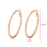 نمای نزدیک گوشواره ژوپینگ بدون نگین کد X001000293
