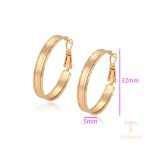 نمای مدل قفل و اتصالات گوشواره ژوپینگ وزن 5.93 گرم کد X001003295