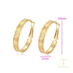 نمای نزدیک گوشواره ژوپینگ بدون نگین کد X001005768