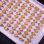 تصویر محصول انگشتر آبکاری طلای سفید (رادیوم) نگین‌دار برند مایا استون کد MY0124